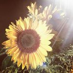 Kim Stern - @kimberlystern75 - Instagram