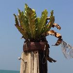 Kim Stern - @kim.stern.77920 - Instagram