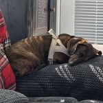 Kim Sterner Hoffner - @morkelsmom72 - Instagram