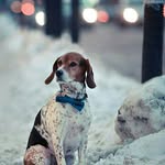 Kim stiches - @sticheskim - Instagram