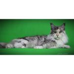 Kim‘s Tierfotografie - @kims_tierfotografie - Instagram