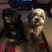 Kim Gates Stoops - Facebook