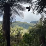 Kim Strange - @strange.kiwiadventures - Instagram