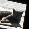 kimstreichbieck - @kim.streich.bieck - TikTok