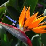 Kim Stringer - @kimmariestringer1962 - Instagram