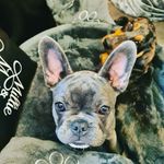 Kim Sumner - @aretheyavinalaugh - Instagram