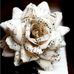 Kim Sutter James - Facebook