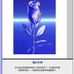 Kim Lung Sze - Facebook