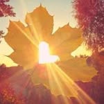 Kim Tabor - @taborkim - Instagram