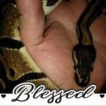 Kim Talbott - @kimtalbott - Instagram