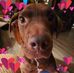 Kim Taulbee - Facebook