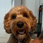 Kim Temple McCarty - @kmccarty1226 - Instagram