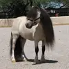 kimtemple245 - @kimtemple245 - TikTok