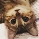 kim - @kimthames_ - Instagram