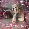 Kim Thigpen - @kimthigpen - TikTok