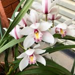 Kim Tillman - @tillman8857 - Instagram