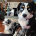 Kimberly P Tillman - Facebook