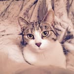 Kim Towers - @old666375 - Instagram