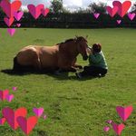 Kim Towler - @towlerkim - Instagram
