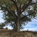 Kim Treadwell - Facebook