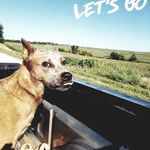 Kim Trost - @toaster5150 - Instagram