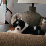 Kim Trost Hilgenberg - @trosthilgenberg - Instagram