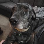 Kim Troxell-Martin - @troxellmartin - Instagram