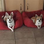 Kim Trudeau - @trudeaukim - Instagram