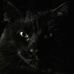 Kim Truman - Facebook