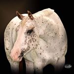 Kim Trumble - @k.trumble - Instagram