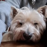 Kim Vickers - @kimvickers1959 - Instagram
