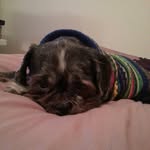 Kim Wainwright - @dsqm321 - Instagram