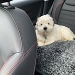 Kim Wake - @wake5538 - Instagram