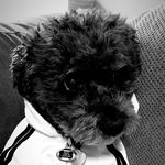 Kim Waldo - @whereswaldo1020 - Instagram