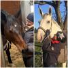 kim.weil - @kim.weil - TikTok