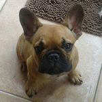 Kim Weiler - @kim_weiler - Instagram
