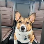 Kim Weiler - @gritngracegurl - Instagram