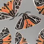 Kim Weiss - @kimweiss.studio - Instagram
