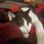 Kim Hartman - @kimweisenauer - Instagram