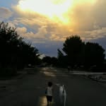 Kim Smith Weisenbarger - @kimweisenbarger - Instagram