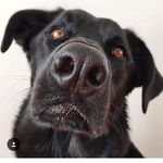 Kim Wendel - @kimwendel - Instagram