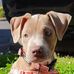 Kim Whitehurst - Facebook