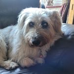 Kim Wilkinson - @kim.wilkinson.1291 - Instagram