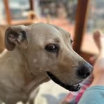 Kim Wilkinson - @kim.wilkinson - Instagram
