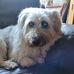 Kim Wilkinson - Facebook
