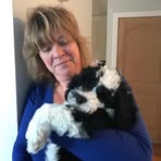Kimberly Green Willcott - Facebook