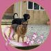 Kim Willoughby - Facebook