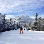 Kim Windle - @kim.windle - Instagram