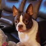 Kim Allen-Winfrey - @kim_winfrey_ - Instagram