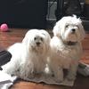 user7728759657862 - @kimwink3 - TikTok